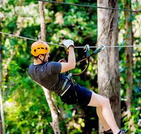 TreeTop Challenge Currumbin - Accommodation Yamba