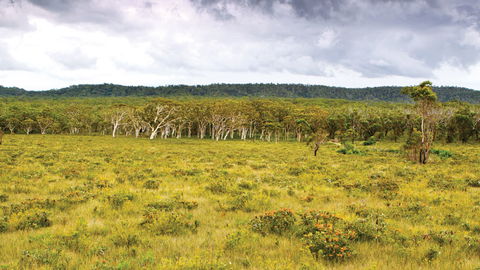 Yuraygir National Park - Accommodation Yamba 0