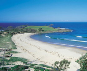 Angourie Beach - Accommodation Yamba 1