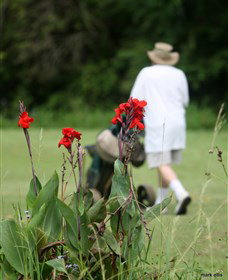 Teven Valley Golf Course - Accommodation Yamba 3