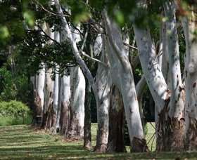 Teven Valley Golf Course - Accommodation Yamba 1