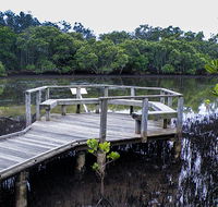 Walk on Water walking track - Accommodation Yamba