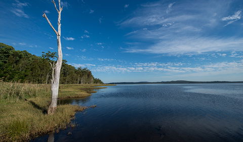 Lake Innes Nature Reserve - Accommodation Yamba 0