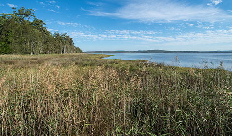 Lake Innes Nature Reserve - Accommodation Yamba 3