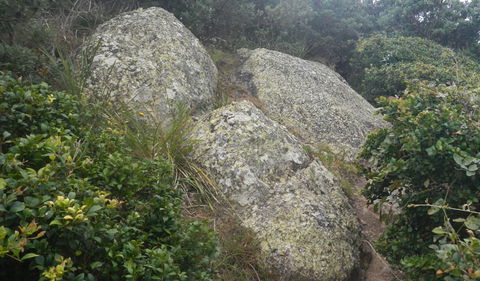 Korogoro Walking Track - Accommodation Yamba 2