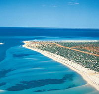 Monkey Mia - Accommodation Yamba