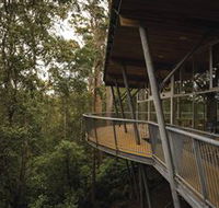 Tarkine Forest Adventures - Dismal Swamp - Accommodation Yamba