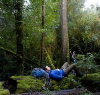 The Tarkine Drive - Accommodation Yamba