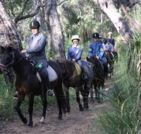 Mirravale Horse Riding School - Accommodation Yamba