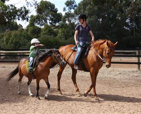 Mirravale Horse Riding School - Accommodation Yamba 1