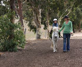 Mirravale Horse Riding School - Accommodation Yamba 2