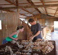 Peron Homestead - Accommodation Yamba