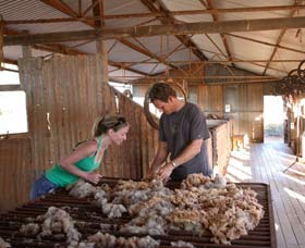 Peron Homestead - Accommodation Yamba 0