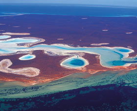 Big Lagoon - Accommodation Yamba 1