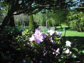 Annsleigh Gardens And Cafe - Accommodation Yamba 3