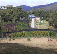 Motton Terraces - Accommodation Yamba