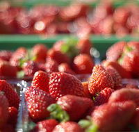 Turners Beach Berry Patch - Accommodation Yamba