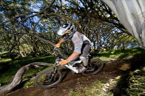 All Terrain Cycles - Accommodation Yamba 0