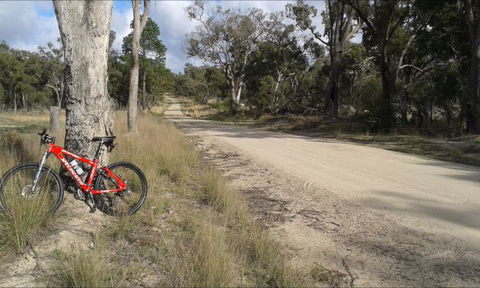 Granite Belt Bicycle Tours And Hire - Accommodation Yamba 6