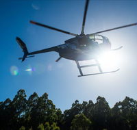 Tall Timbers Adventure Tours - Accommodation Yamba