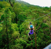 Canyon Flyer - Accommodation Yamba
