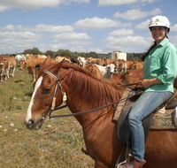 Myella Farm Stay Tours - Accommodation Yamba