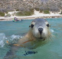 Calypso Star Charters - Accommodation Yamba