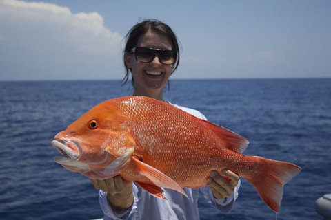 Absolute Ocean Charters - Accommodation Yamba 7
