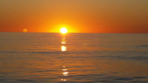 Absolute Ocean Charters - Accommodation Yamba 16