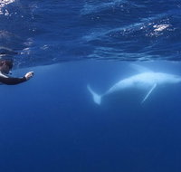 Sunreef Mooloolaba - Accommodation Yamba