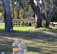 Glendale Citrus  Hazelnut Orchard - Accommodation Yamba