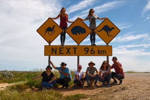 Nullarbor Traveller - Accommodation Yamba 35