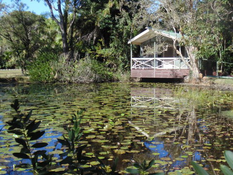 Darlington Beach NRMA Holiday Park - Accommodation Yamba 5