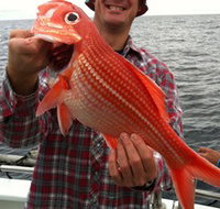 Goin' Off Safaris - Accommodation Yamba