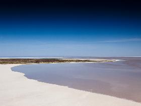 Goin' Off Safaris - Accommodation Yamba 8