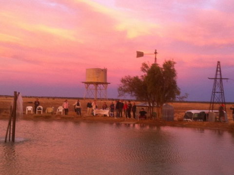 Outback Aussie Day Tours - Accommodation Yamba 2