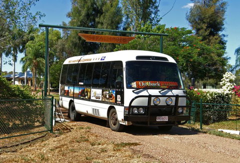 Outback Aussie Day Tours - Accommodation Yamba 3