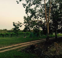 Brierley Wines - Accommodation Yamba