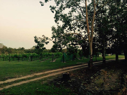 Brierley Wines - Accommodation Yamba 0