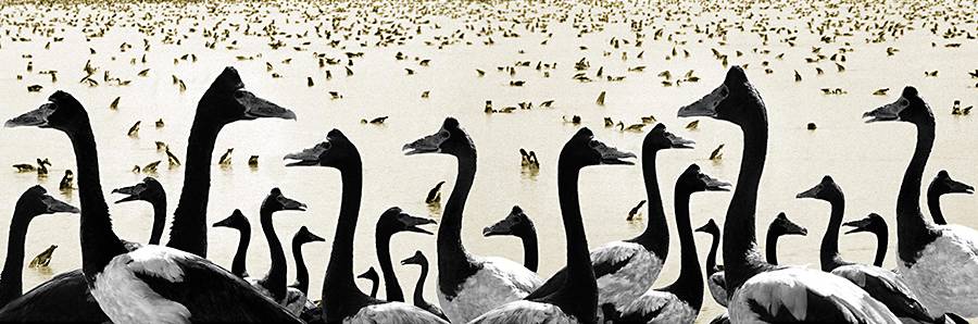 Coconut Grove NT Accommodation Yamba