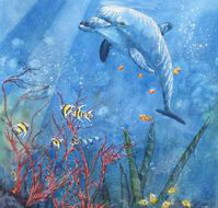 Nadas Fine Art Gallery - Accommodation Yamba