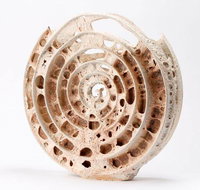 Noosa Regional Gallery - Accommodation Yamba