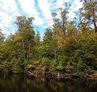 A R Reflections River Cruises - Accommodation Yamba