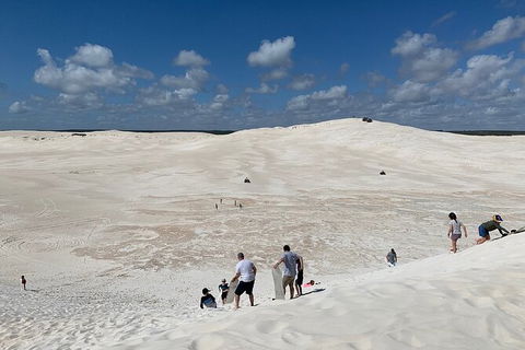 Pinnacles Day Trip From Perth Including Yanchep National Park - Accommodation Yamba 3