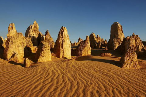 Pinnacles Day Trip From Perth Including Yanchep National Park - Accommodation Yamba 2