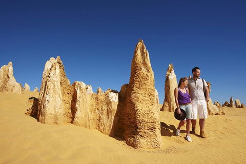 Pinnacles Day Trip From Perth Including Yanchep National Park - Accommodation Yamba 4