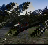 Stargazing Busselton with Mobile Observatory - Accommodation Yamba