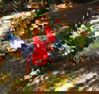 Trees Adventure Lane Poole Park - Treetop  Zipline Experience - Accommodation Yamba