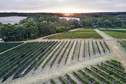 Vasse Felix Epicurean Tour And Tasting Experience With 5 Course Lunch - Accommodation Yamba 7