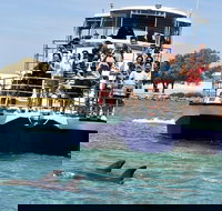 Mandurah Dolphin and Scenic Marine Cruise - Accommodation Yamba